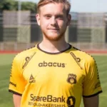 Henrik Stokkebø