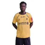 Laurent Mendy